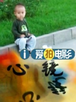 南瓜花的纯情
